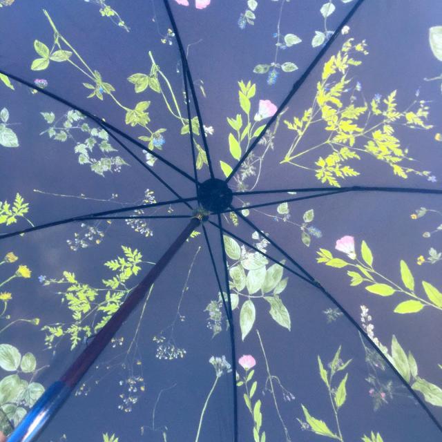 【晴雨兼用】押し花　イイダ傘店