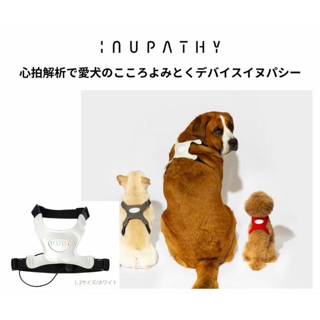 INUPATHY イヌパシー 本体セット WHT 1（小型～中型犬） -の商品詳細