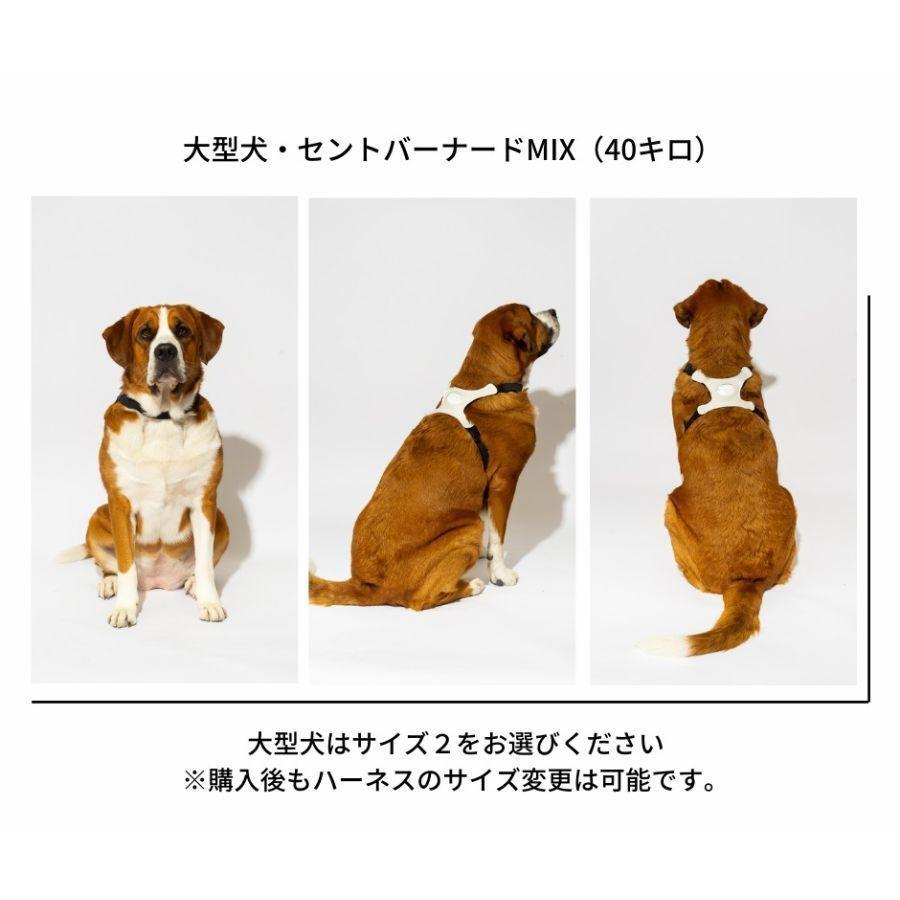 大阪府  サイズ1 inupathy 犬用品