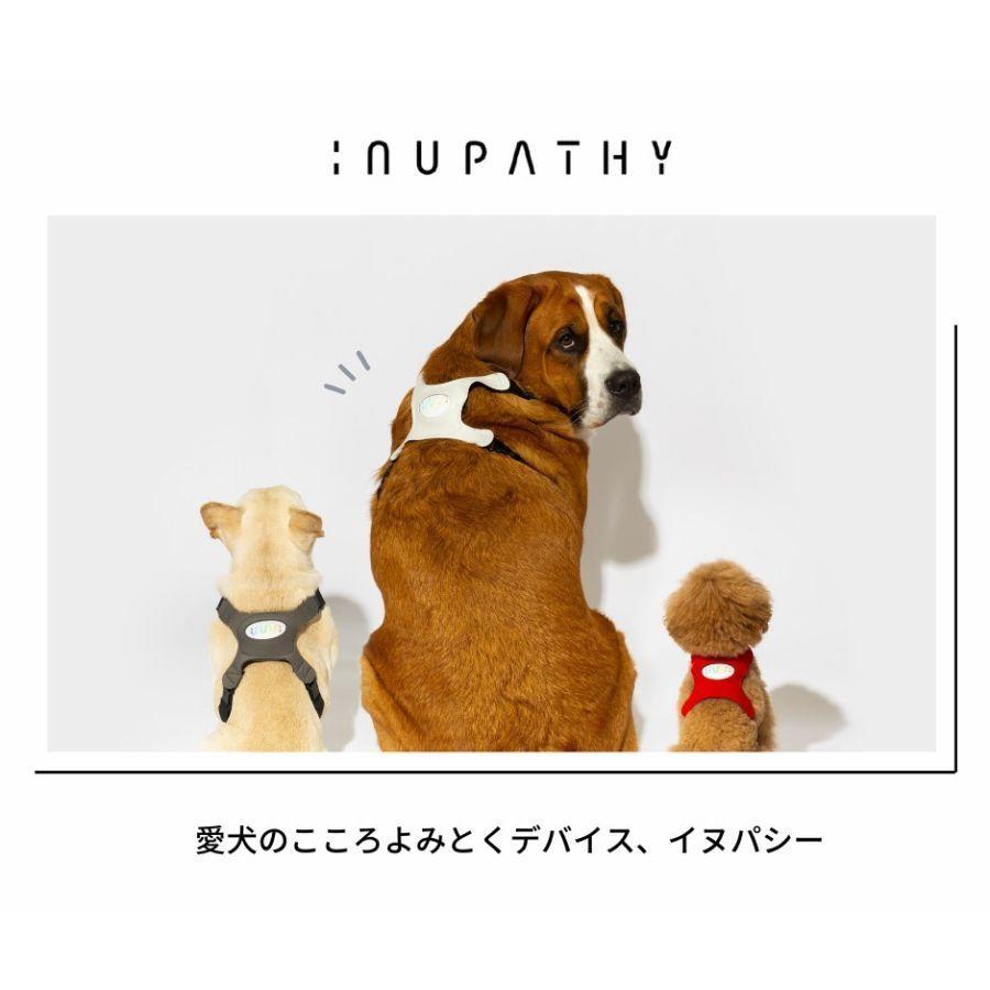 INUPATHY イヌパシー 本体セット RED 1（小型～中型犬） 