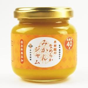 【早和果樹園】まるごとみかんセット