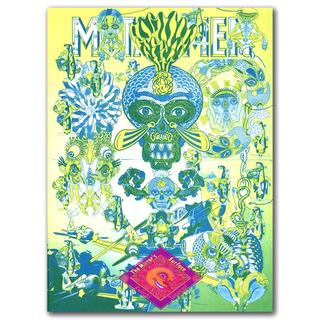 The Mirror's Surface 田名網敬一　大判作品集