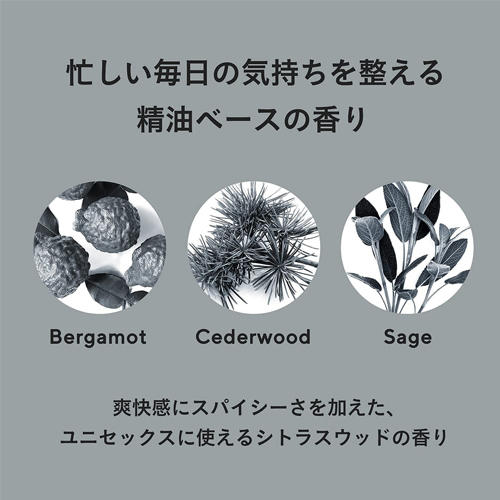 LOGIC MICRO MIST LOATION