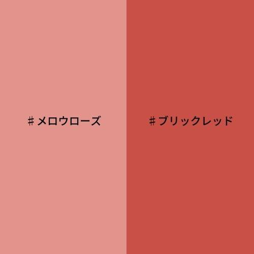 ラスティングスムースリップスティック（ブリックレッド） -の