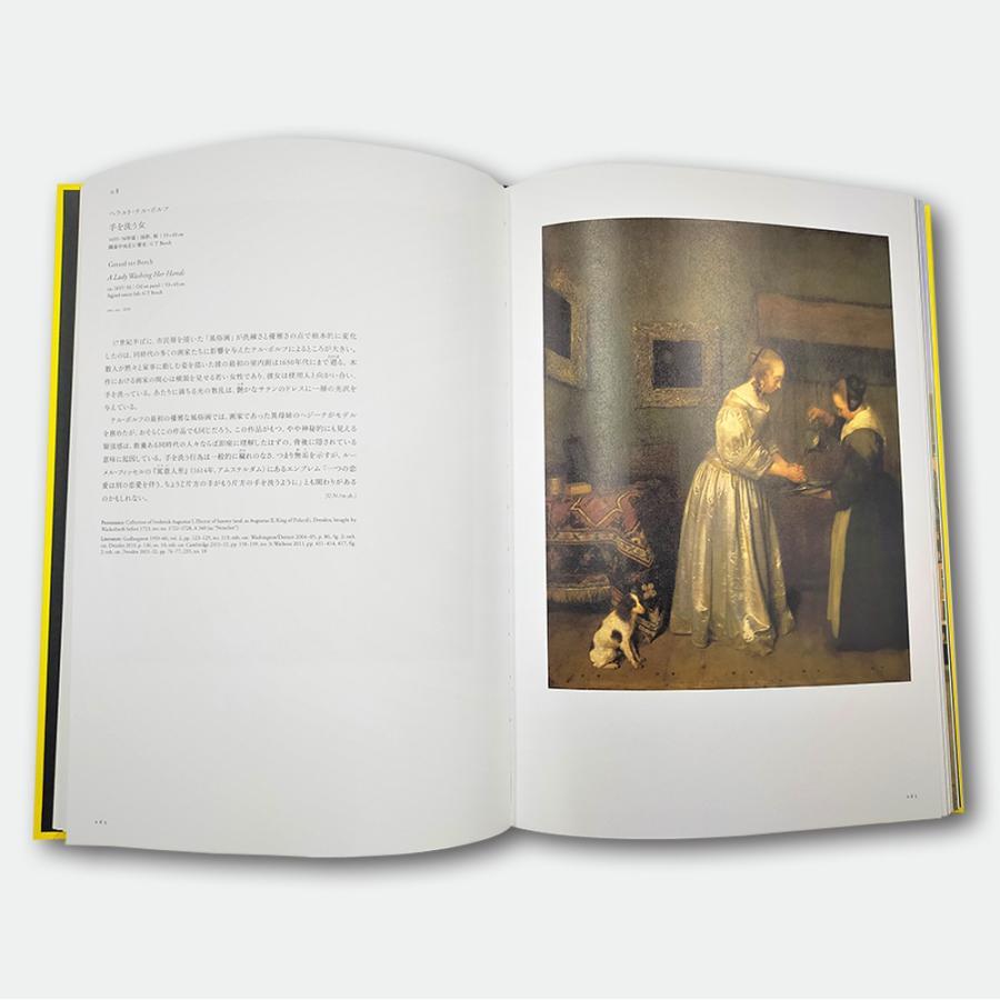 図録 ドレスデン国立古典絵画館所蔵 フェルメールと17世紀オランダ絵画展