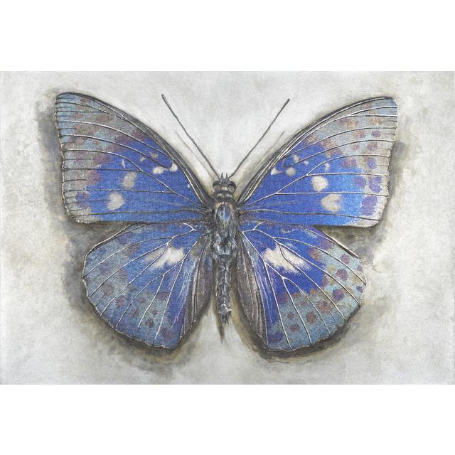 the studs 使用済みピック　ポストカード　蜉蝣 the studs 使用済みピック サイン入りポストカード、非売品蜉蝣