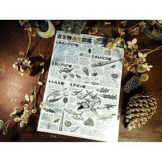 【かわさきしゅんいち】古生物進化図鑑クリアファイル -Vol.1 古生代編-