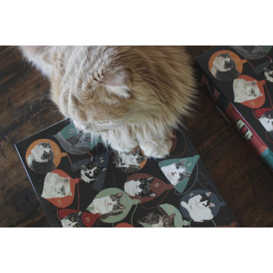 【期間限定販売】CAT’S ISSUE(キャット イシュー) アドベントカレンダー