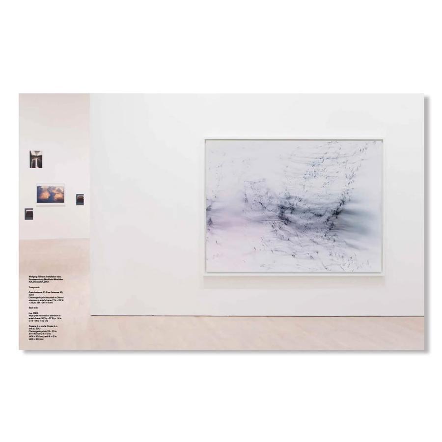 TO LOOK WITHOUT FEAR Wolfgang Tillmans ヴォルフガング