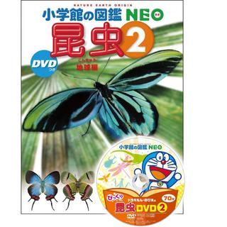 『小学館の図鑑NEO〔新版〕昆虫2 DVDつき: 地球編』執筆・企画構成／小池啓一