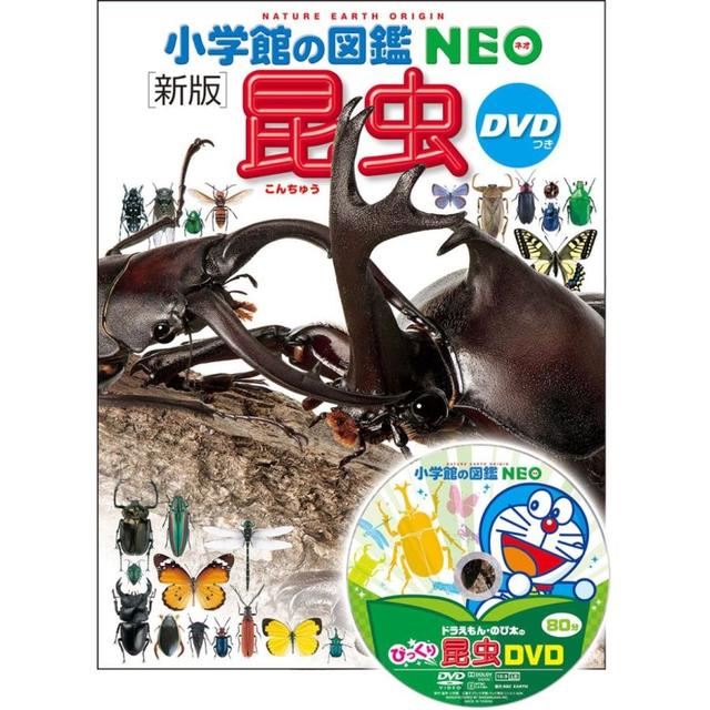 小学館の図鑑NEO〔新版〕 昆虫 ＤＶＤつき』指導・執筆／小池啓一