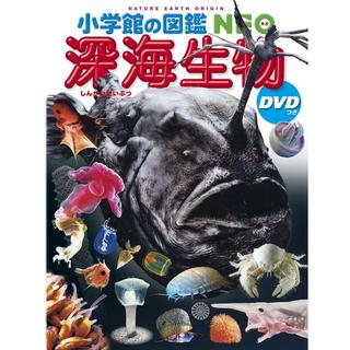 『小学館の図鑑NEO 深海生物 DVDつき』藤原 義弘/著
