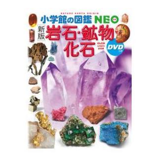 新版 小学館の図鑑NEO 岩石・鉱物・化石 DVDつき