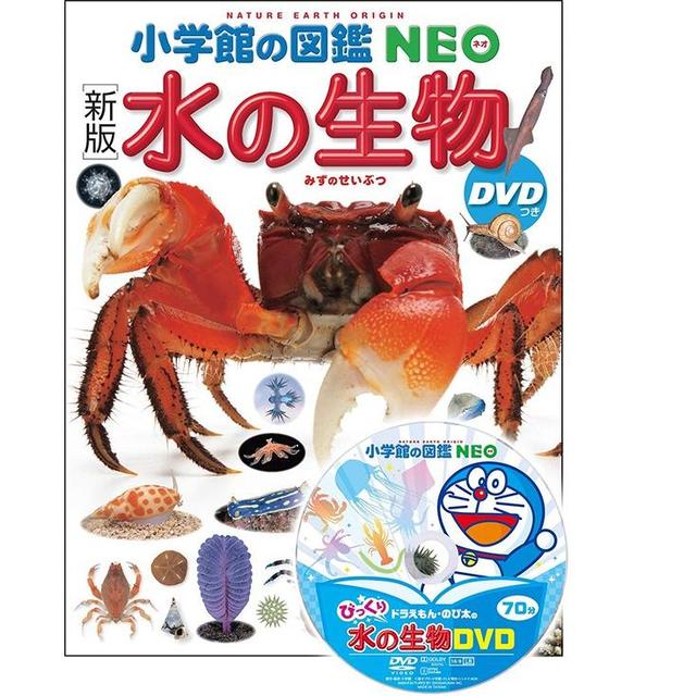 小学館の図鑑NEO [新版] 水の生物 DVD付き