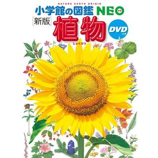小学館の図鑑NEO (新版) 植物 DVD付き