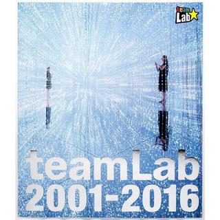 【チームラボの図録】teamLab 2001-2016　英語版