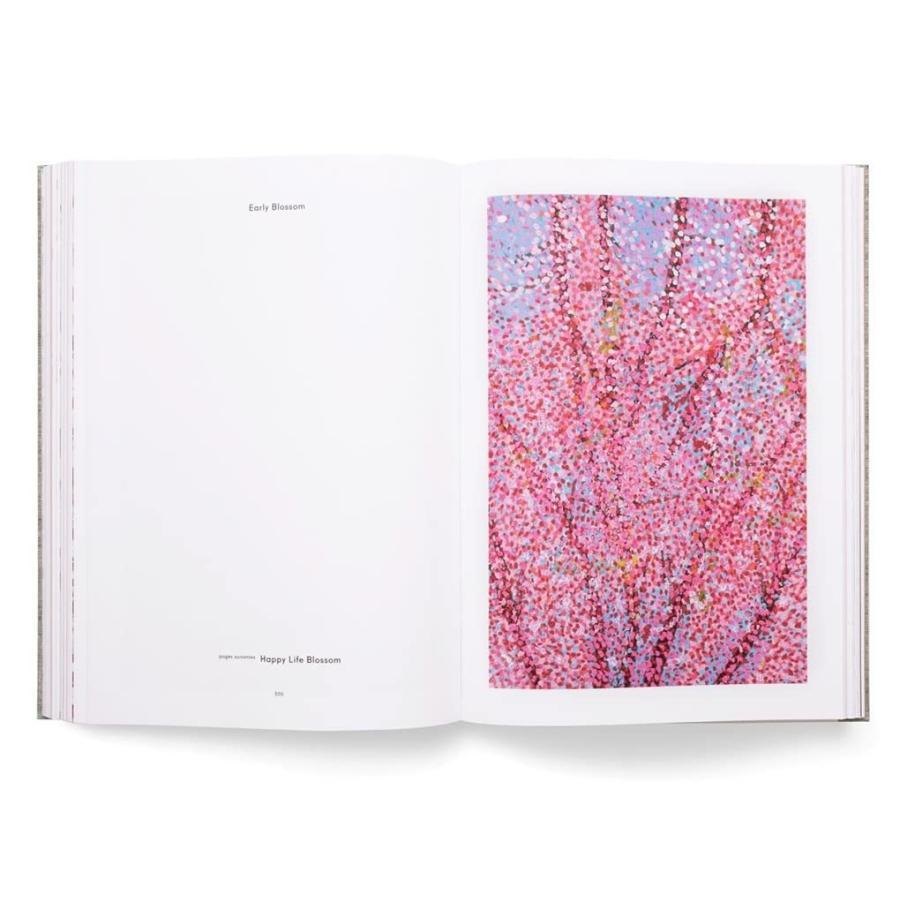 Damien Hirst Cherry Blossoms ダミアン・ハースト 洋書作品集 -の商品