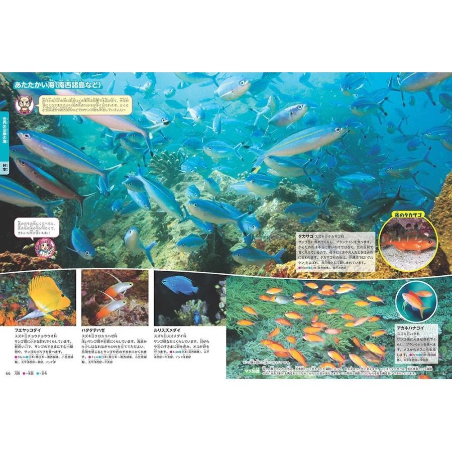 角川の集める図鑑ＧＥＴ！ 魚