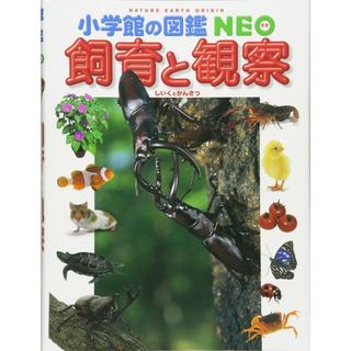 小学館の図鑑NEO　飼育と観察