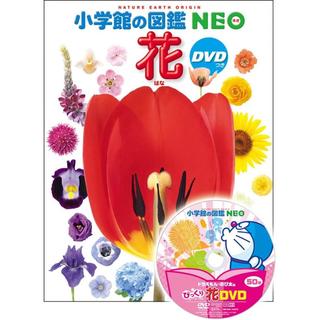 小学館の図鑑 NEO　花　DVD付き