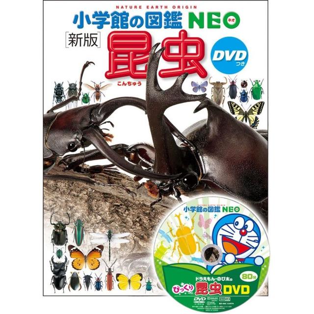 小学館の図鑑 NEO　新版 昆虫　DVD付