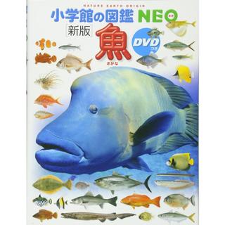 小学館の図鑑 NEO　新版　魚　DVD付