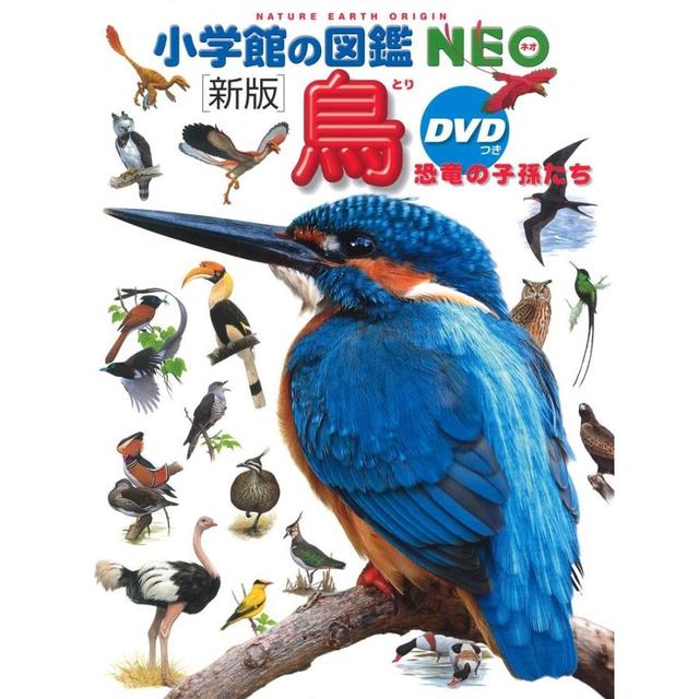 小学館の図鑑NEO ネオ「恐竜」DVD付き 恐竜図鑑 - 絵本・児童書