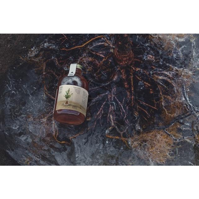 日本草木研究所 フォレストシロップ 250ml