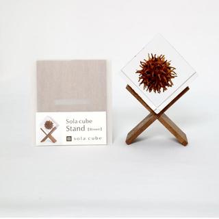 Sola cube stand (brown)　ディスプレイ用スタンド