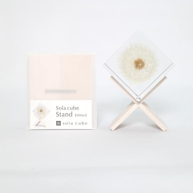 Sola cube stand (white)　ディスプレイ用スタンド