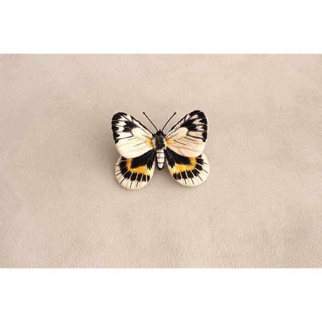 【PieniSieni】6_エリプシスカザリシロチョウ ・ブローチ