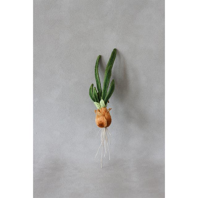 【PieniSieni】52_芽と根が出たタマネギ・ガラスケース