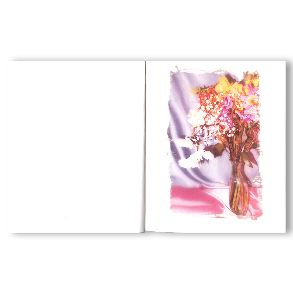 【750部限定】Swaying Flowers 遠藤文香　写真集