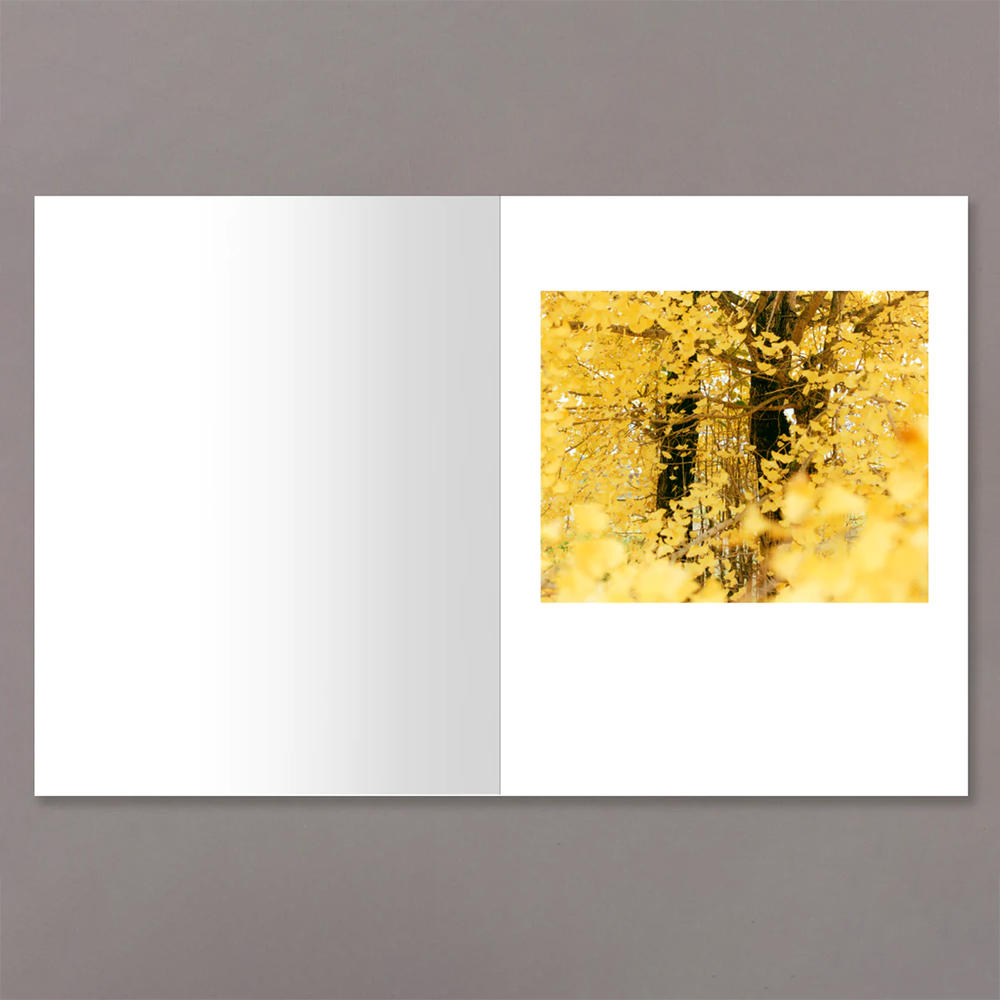 OBSCURA by Yoko Ikeda　池田葉子　写真集