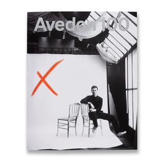 Avedon 100 リチャード・アヴェドン　図録 作品集