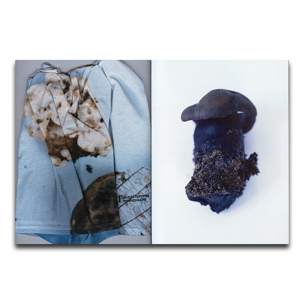 【Treelikeswater】Mushrooms From The Forest by Takashi Homma ホンマタカシ 写真集（ZINE）