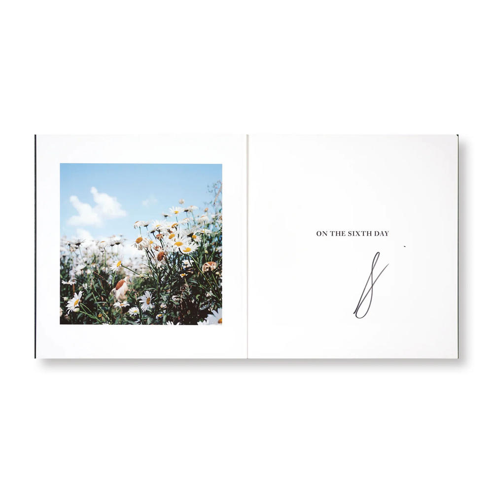 【著者サイン入】ON THE SIXTH DAY by Alessandra Sanguinetti