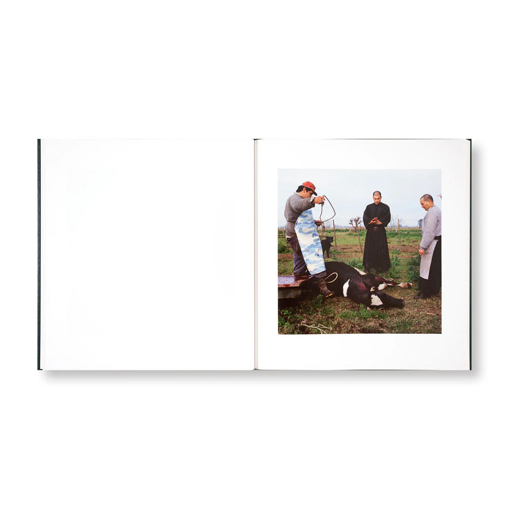 【著者サイン入】ON THE SIXTH DAY by Alessandra Sanguinetti