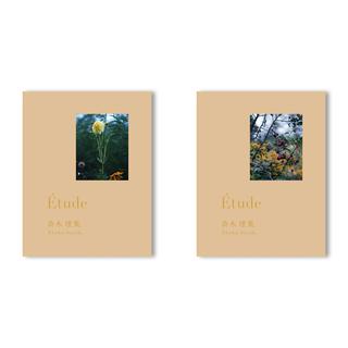 【種類の選択可】Etude by Risaku Suzuki(鈴木理策)　写真集 