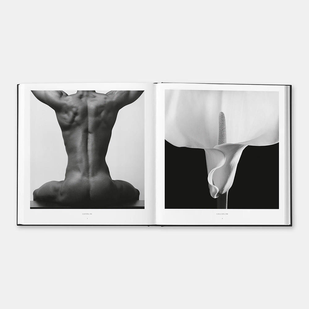 Robert Mapplethorpe ロバート・メイプルソープ 写真集