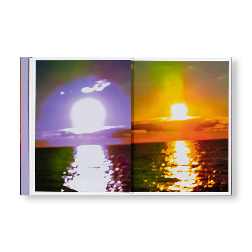 【サイン入り】VERDIGRIS / AMBERGRIS by Paul Graham