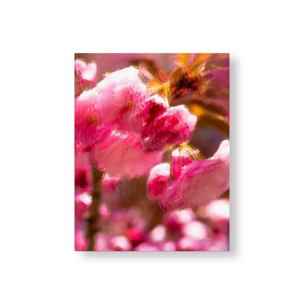 【サイン入り】VERDIGRIS / AMBERGRIS by Paul Graham