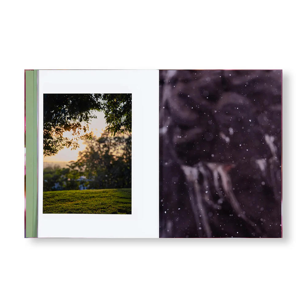 【サイン入り】VERDIGRIS / AMBERGRIS by Paul Graham