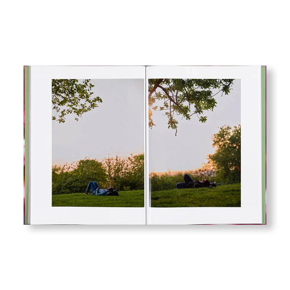 【サイン入り】VERDIGRIS / AMBERGRIS by Paul Graham