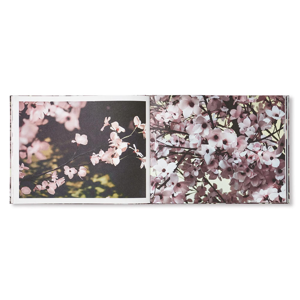 BLOSSOM by Thomas Demand & Ben Lerner