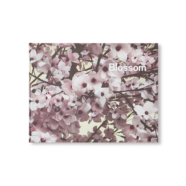 BLOSSOM by Thomas Demand & Ben Lerner