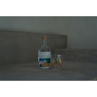 HOLONGIN　ORIGINAL　500ml