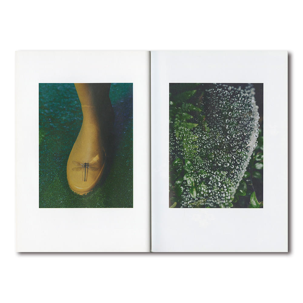 Le Manoir aux Quat'Saisons by Thomas Rousset（トマ・ルセ）　写真集