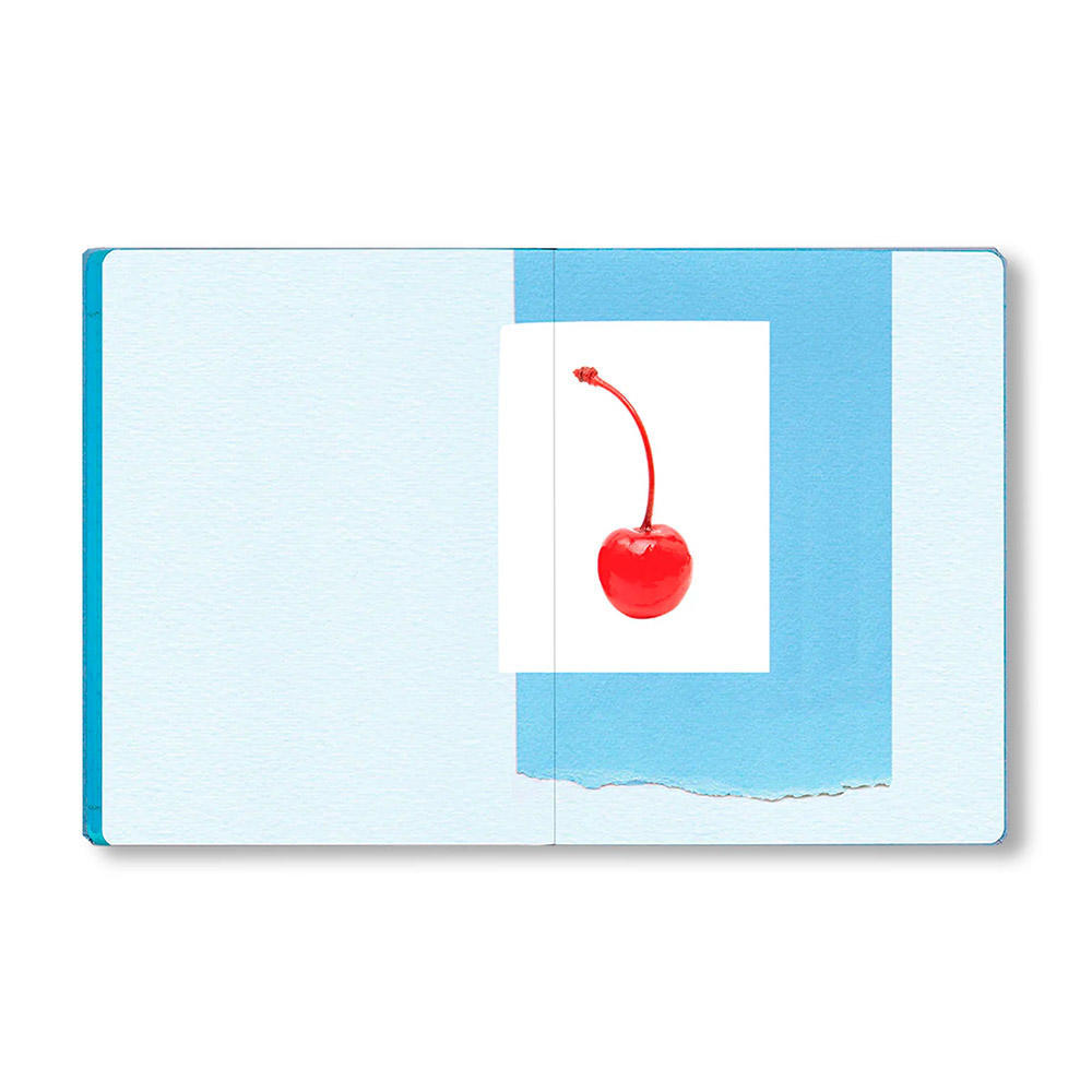 THE IMPORTANT FLOWERS PLANNER 2026 by Sofia Coppola（ソフィア・コッポラ）　スケジュール帳（ダイアリー／日記）