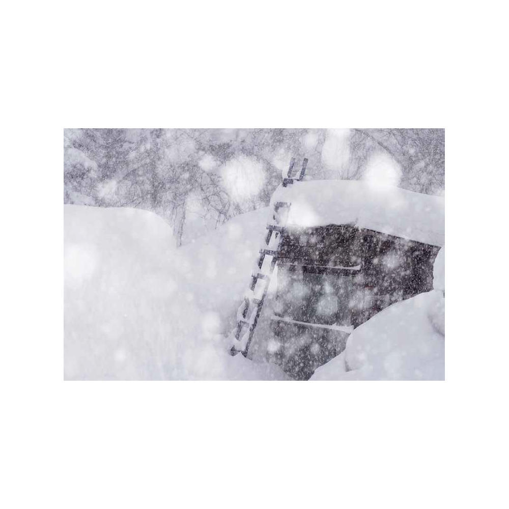 清水朝子：Finding A Pearly Light